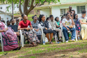 3P5A1111-Enhanced-NR